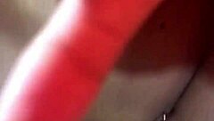 Couple starts their playful interaction in reality