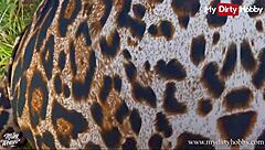 Miley Weasel enjoys public encounter by the road