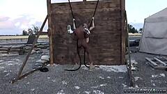 i free download gay porn video and man monkey have sex time to