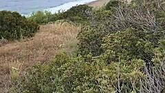 Petite exhibit in nature during Cyprus trip