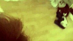 french big ass babe sucks and gets doggystyled hard. feels amazing!