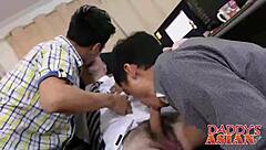 Descriptive Scene of Sucking and Fucking Two Asian Twinks in Office