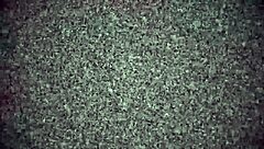 Mi Amiga Latina Venezolana Está Demasiado Bella