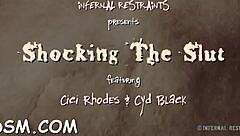 In this slavery scene, the naked slave eagerly sucks the master's cock with sloppy enthusiasm.