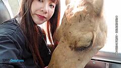 couple explores bangkok southeast asia romantic journey with sexy amateurs