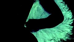 my secret life as a man in drag in vintage times