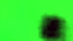 Enjoying delicious movements in a mexican hotel setting