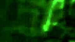 does step sis crave that doggy style