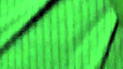 dumb bitch from the hood