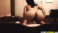 i'm the curvy latina teasing with my hot booty