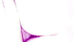 is this amateur couple's sex hotter than yours?