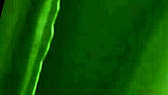 I find my stepsister masturbating in the bathroom, what should I do next?