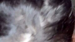 Naughty Brazilian Wife Fucks Amateurs Hard