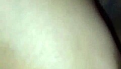 Treinando Gulosa Para Receber Dois Paus