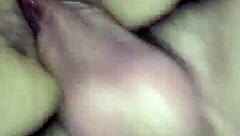 Treinando Gulosa Para Receber Dois Paus