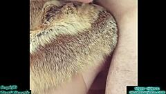 Big Dick Anal Creampie Close-Up!