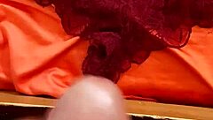 Discovering My Sister-In-Law's Panties