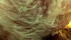 i rim and get mouth fucked at amputee grandpa's party