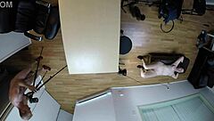 Audrey Decker in hardcore casting POV interview showcasing her big tits