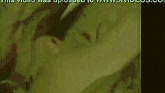 Retro Beaver: A Hairy Threesome from the Past