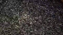 Emotions Of Ebony Beauty