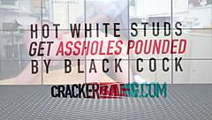 Intense Interracial Doggy Style In Gay Casting Interview