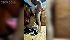 Share the whore with me?