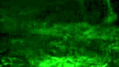 Shemale elizabeth specifically plays with her balls during midnight ritual