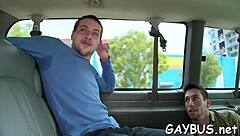 Free homo sex videos available now