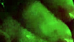 Is This Cheating Wife's Expert Head Game With Big Black Cock Too Provocative?