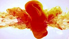 Gina Gerson Gets Horny After Peeing Her Pants