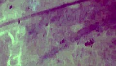 fucking my friend moni in her latina pussy