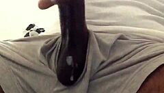 Office ebony solo session with swallow