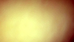 Amateur couple engages in intense anal fucking