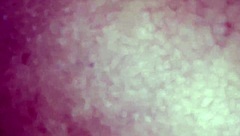 Hanging out with my straight friend