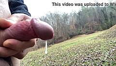 let the rain pour down on the outdoor nature scene with dripping water and flashing lights