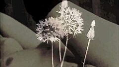 Vintage Lesbians Explore Hairy Pussy