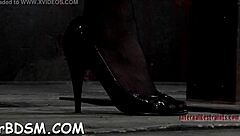 depraved babe's twat gets toyed and sucked in bdsm slave scene