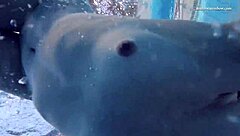 elena proklova's blonde beauty underwater