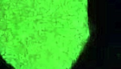 hey, learning to give killer blowjobs and enjoying a steamy afternoon alone!