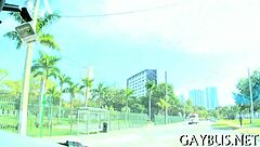 Free homosexual sex videos available.