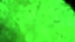 hey, learning to give killer blowjobs and enjoying a steamy afternoon alone!