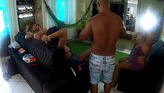 White Head Watches From Afar The Boat Owner's House