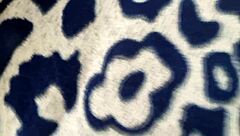 latina spied on in shower, leads to big ass fucking