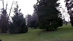 Victoria Sucks Guy's Cock in Car POV Public Spot