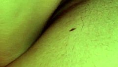 Can this wife take vibrator deep in her ass?