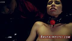 Teen Aidra Fox and Kharlie in Doggy Style First Time with Best Mates