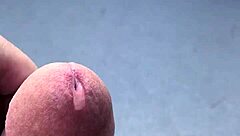 why not suck my mature tits on this hot day?