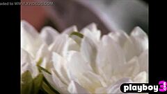 Karin taylor, why pose naked after swimming with big boobs?