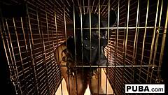 Dani Daniels says, I'm trapped in this dog cage, masturbating my big tits and pussy.